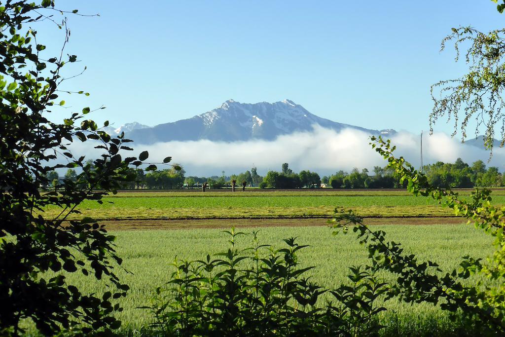 Bed And Breakfast Gea Cuneo Buitenkant foto